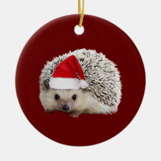 Ornamento De Cerâmica Hedgehog Com Luzes De Chapéu Natal