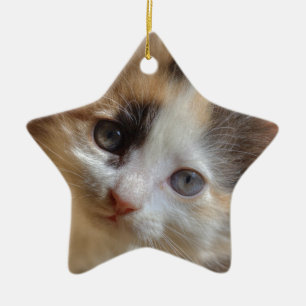 Ornamento De Cerâmica Heterochromia Calico Kitten
