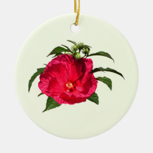 Ornamento De Cerâmica Hibiscus Rosa Escuro