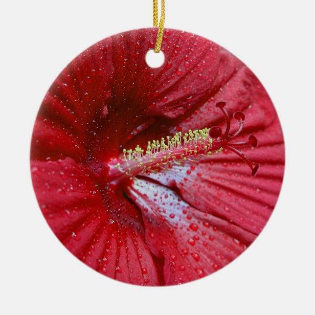 Ornamento De Cerâmica Hibiscus vermelho com pingos de chuva (Frente)
