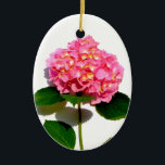 Ornamento De Cerâmica Hídranga cor-de-rosa Elegante<br><div class="desc">Hidrangea rosa romântica elegante - foto de H Cooper</div>
