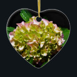Ornamento De Cerâmica Hídranga floral verde-rosa-esverdeado Elegante<br><div class="desc">Uma bela hidrangea com toques de rosa e amarelo</div>