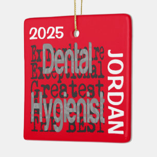 Ornamento De Cerâmica Higienista Dental Extraordinária PERSONALIZADO