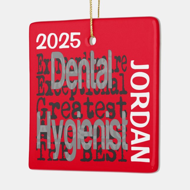 Ornamento De Cerâmica Higienista Dental Extraordinário PERSONALIZADO (Esquerda)