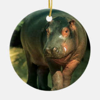 Ornamento De Cerâmica Hipopótamo de anão (Choeropsis liberiensis)