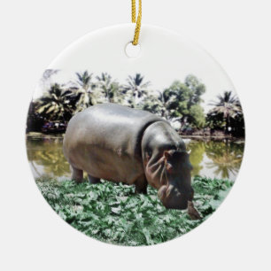 Ornamento De Cerâmica Hippo & Bird