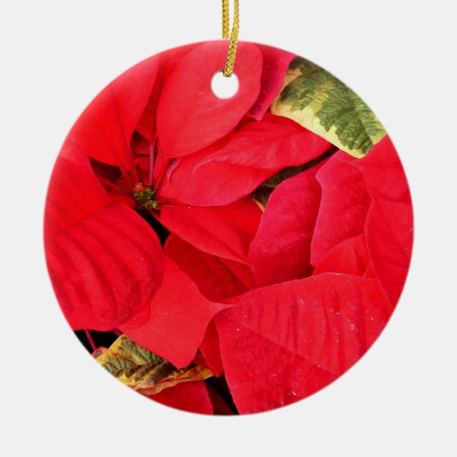 Ornamento De Cerâmica Holly Point Poinsettias Holiday Floral (Frente)
