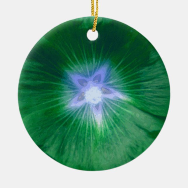 Ornamento De Cerâmica Hollyhock Flower Gorgegegee Green Custom Birday (Frente)