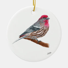 Ornamento De Cerâmica House Finch