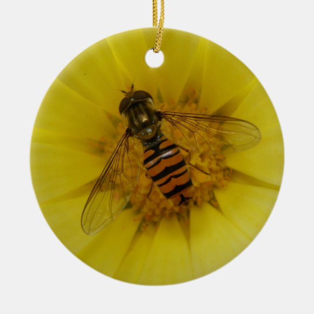 Ornamento De Cerâmica Hoverfly no Marigold Custom Birthday (Frente)