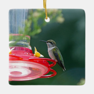 Ornamento De Cerâmica Hummingbird