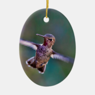 Ornamento De Cerâmica Hummingbird