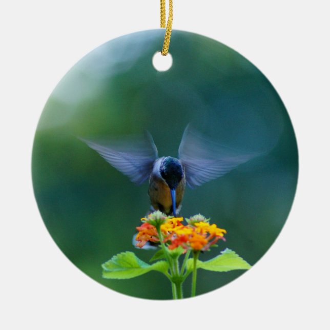 Ornamento De Cerâmica Hummingbird Angel Wings Ornament (Frente)