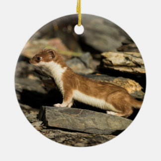 Ornamento De Cerâmica Hunting Weasel
