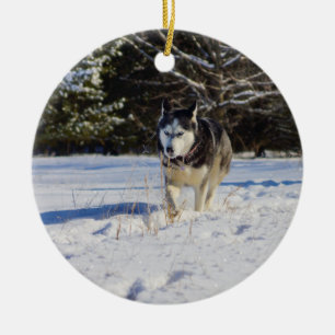 Ornamento De Cerâmica Husky Siberiano Na Neve