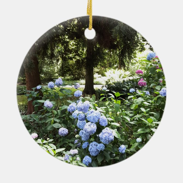 Ornamento De Cerâmica Hydrangea Floral Trees Nature Fotografia (Traseira)