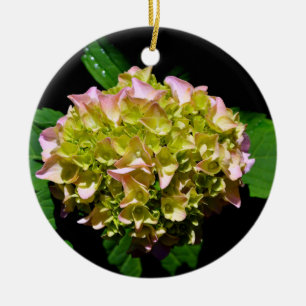 Ornamento De Cerâmica Hydrangea verde e rosa