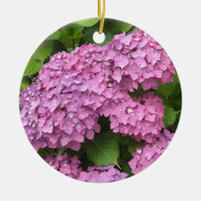 Ornamento De Cerâmica Hydrangeas Rosa (Frente)