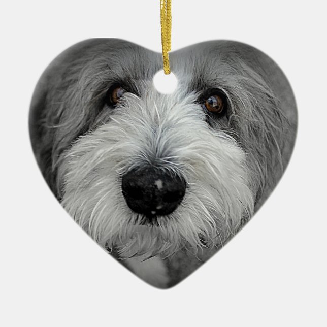 Ornamento De Cerâmica I conhece-o? (Frente)