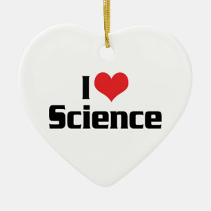 Ornamento De Cerâmica I Love Heart Science