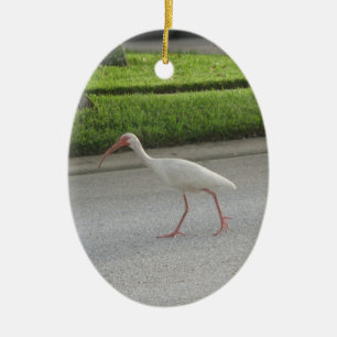 Ornamento De Cerâmica Ibis Walking Ornament