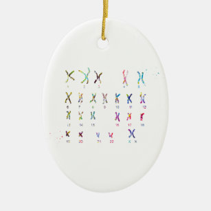 Ornamento De Cerâmica Idiograma fêmea do cromossoma