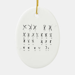 Ornamento De Cerâmica Idiograma masculino do cromossoma
