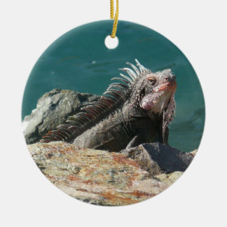Ornamento De Cerâmica Iguana em St. Thomas