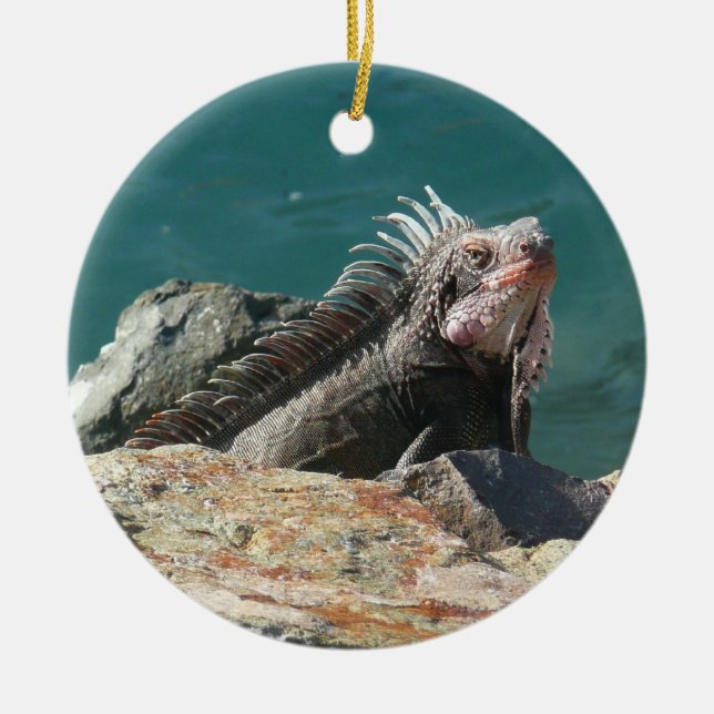 Ornamento De Cerâmica Iguana em St. Thomas (Frente)