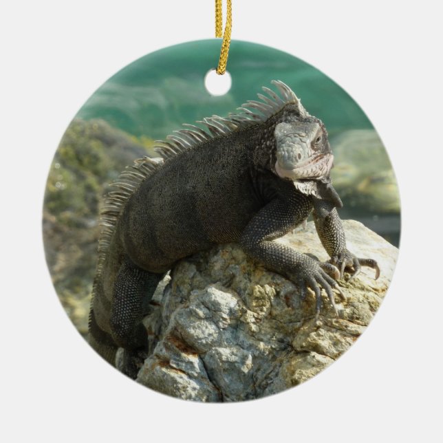 Ornamento De Cerâmica Iguana nas Rochas na Rua. Thomas (Frente)