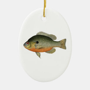 Ornamento De Cerâmica Ilustração colorida do Sunfish do vintage