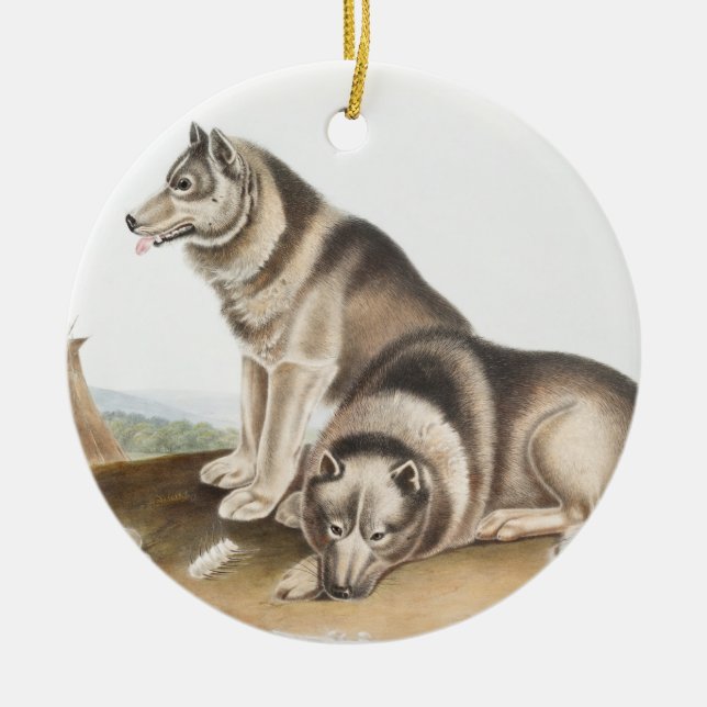 Ornamento De Cerâmica Ilustração de Cão Esquimaux (Canis familiaris) (Frente)