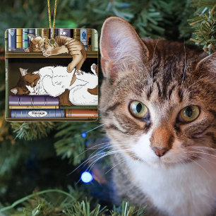 Ornamento De Cerâmica Ilustração de Estante de Livros de Gatos Adormecid