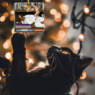 Ornamento De Cerâmica Ilustração de Estante de Livros de Gatos Adormecid