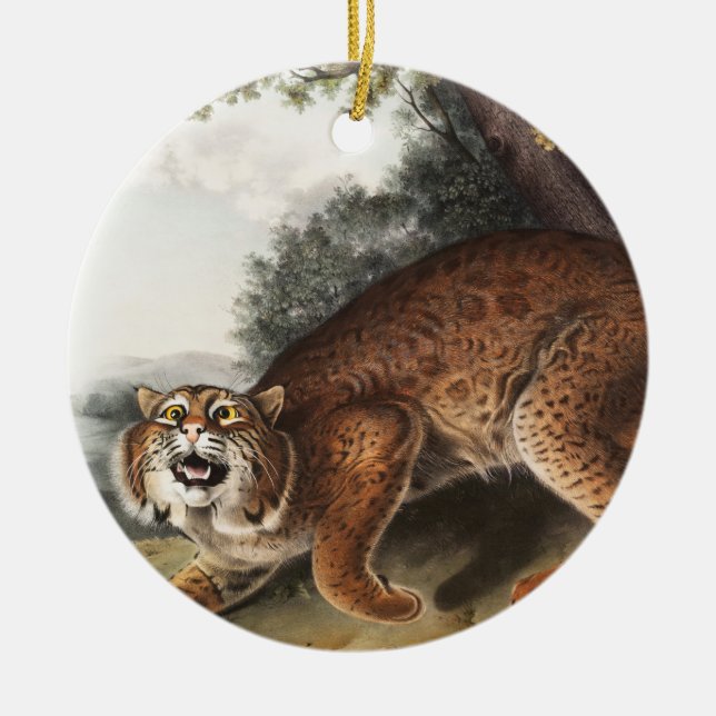 Ornamento De Cerâmica Ilustração de gato selvagem americano (Lynx rufus) (Frente)