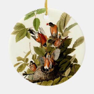 Ornamento De Cerâmica Ilustração de Pássaros Robin Wildlife da América d