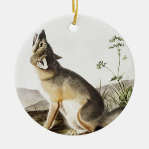 Ornamento De Cerâmica Ilustração de Raposa Swift (Vulpes velox)