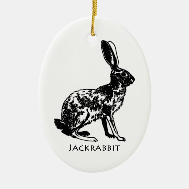 Ornamento De Cerâmica Ilustração do Jackrabbit (Frente)