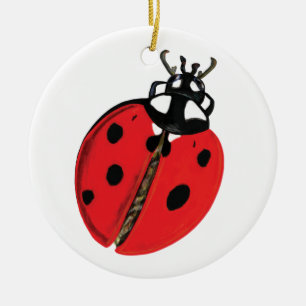 Ornamento De Cerâmica Ilustração Lady Bug