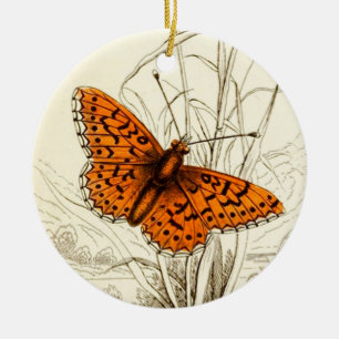Ornamento De Cerâmica Ilustração, laranja e preto da borboleta do