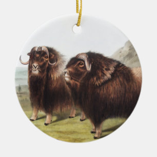 Ornamento De Cerâmica Ilustração Musk Ox (Ovibos moschatus)