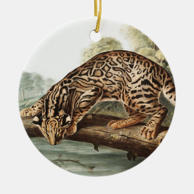 Ornamento De Cerâmica Ilustração Ocelot, Gato-Leopardo (Felis pardalis) (Frente)