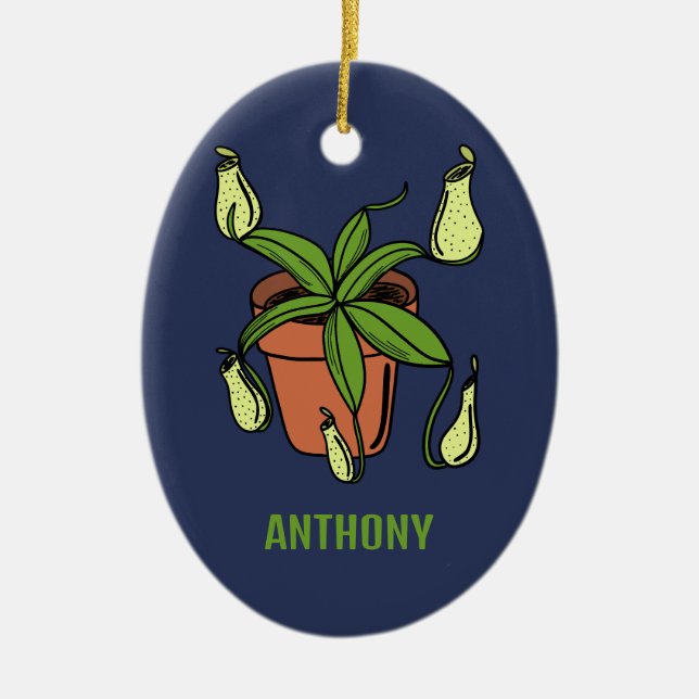 Ornamento De Cerâmica Ilustração Personalizada de Planta de Aranha-Aranh (Frente)