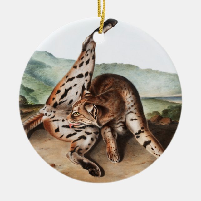 Ornamento De Cerâmica Ilustração Texan Lynx (Lynx rufus var maculatus) (Frente)
