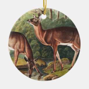 Ornamento De Cerâmica Ilustração Virginiana Deer (Cervus Virginianus)