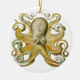 Ornamento De Cerâmica Imagem linda de polvo de Haeckel