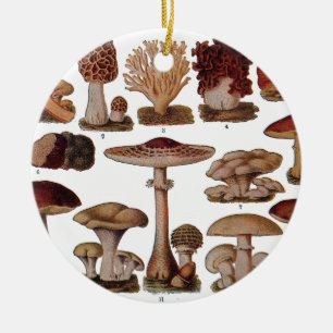 Ornamento De Cerâmica Impressão botânico da família do cogumelo do