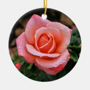 Ornamento De Cerâmica Impressão de Arte Botânica Rosa Romântica