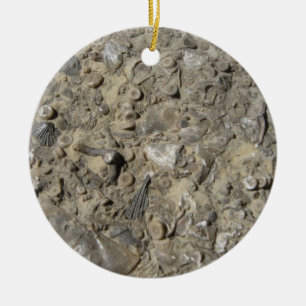 Ornamento De Cerâmica Impressão fóssil da mistura