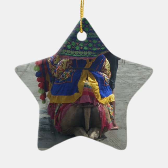 Ornamento De Cerâmica Impressão/Gráfico Whimsical Camel Art (Frente)